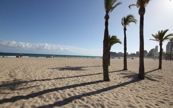 Apartament cu 4 dormitoare în Benidorm - BNB106531 - Imagini - Small - 27