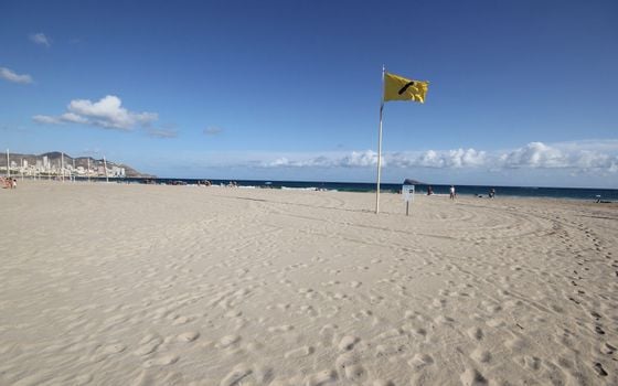 Apartament cu 4 dormitoare în Benidorm - BNB106531 - Imagini - Small - 28