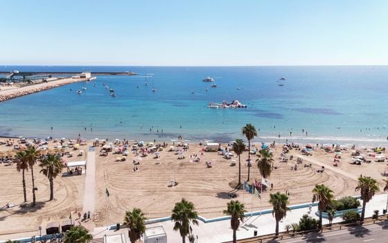 3 bedroom Apartment in Torrevieja - NHT106823 - Photo - Small - 33