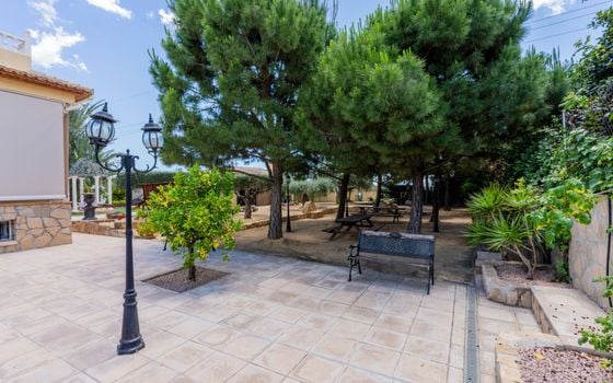 Villa de 5 chambres à San Vicente del Raspeig - CBE107032 - Photo - Small - 42