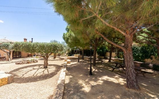 Villa de 5 chambres à San Vicente del Raspeig - CBE107032 - Photo - Small - 44