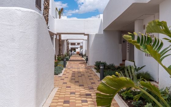 3 bedroom Bungalow in San Juan de los Terreros - IGM148883 - Photo - Small - 26