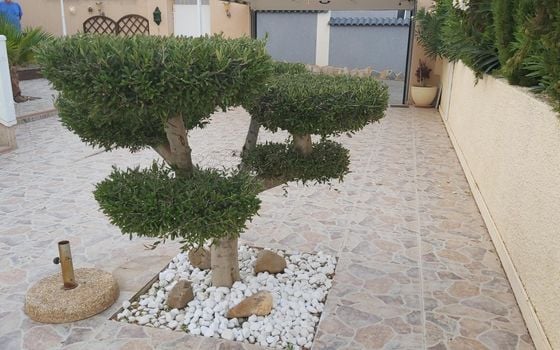 2 bedroom Villa in Rojales - MRQ107188 - Photo - Small - 26