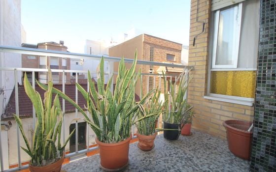 Appartement de 4 chambres à Torrevieja - ALM107588 - Photo - Small - 21