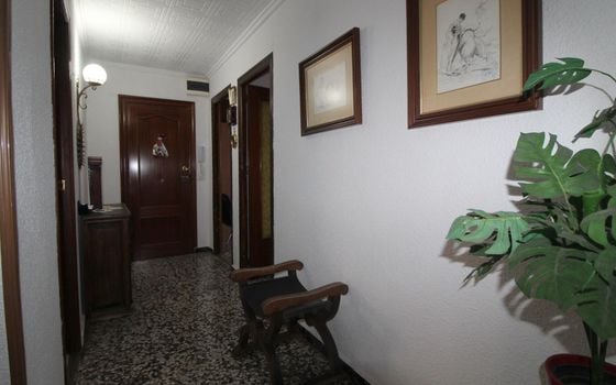 Appartement de 4 chambres à Torrevieja - ALM107588 - Photo - Small - 22