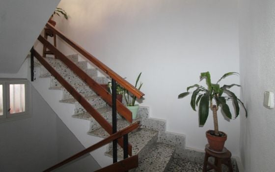 Appartement de 4 chambres à Torrevieja - ALM107588 - Photo - Small - 23