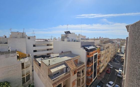 Ático de 1 habitación en Torrevieja - CT107633 - Foto - Small - 12
