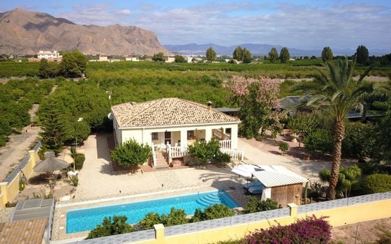 Villa de 3 chambres à Orihuela - VRE108215 - Photo - Small - 34