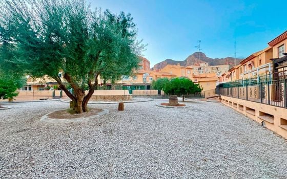 4 bedroom Townhouse in Orihuela - DPR108281 - Photo - Small - 20