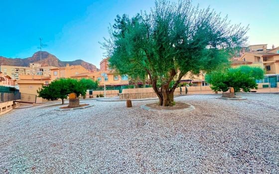 4 bedroom Townhouse in Orihuela - DPR108281 - Photo - 2