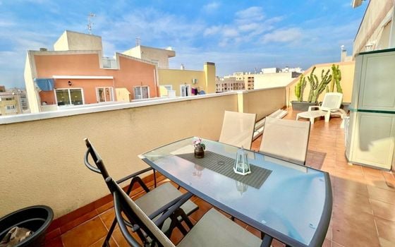 Penthouse de 2 chambres à Torrevieja - SV108996 - Photo - Small - 17