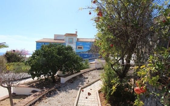 Villa de 4 chambres à Calp - ESP109557 - Photo - Small - 34