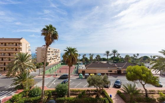 2 bedroom Apartment in La Mata - GVS109651 - Photo - Small - 22