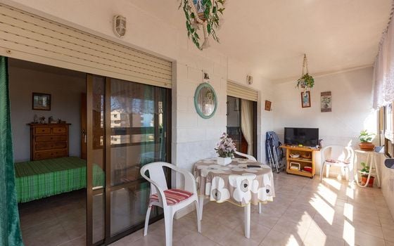 2 bedroom Apartment in La Mata - GVS109651 - Photo - Small - 16