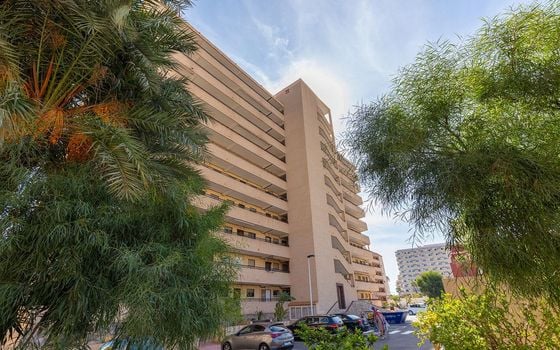 2 bedroom Apartment in La Mata - GVS109651 - Photo - 2