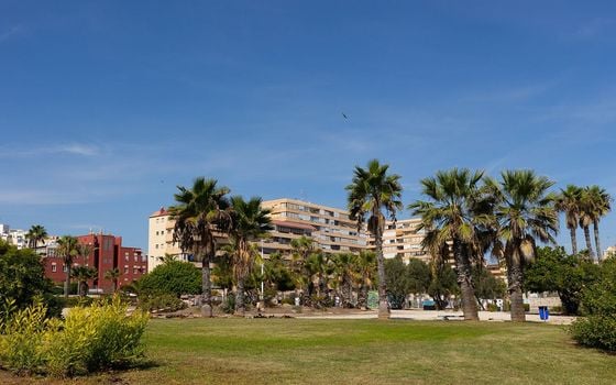 2 bedroom Apartment in La Mata - GVS109651 - Photo - Small - 23