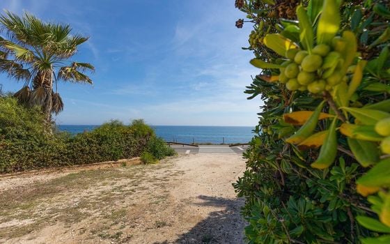 2 bedroom Apartment in La Mata - GVS109651 - Photo - Small - 24