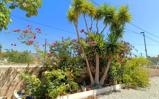 5 bedroom Villa in Abanilla - CNM150024 - Photo - Small - 33