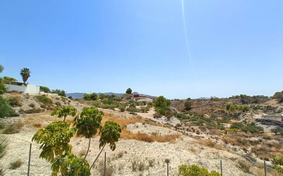 5 bedroom Villa in Abanilla - CNM150024 - Photo - Small - 35
