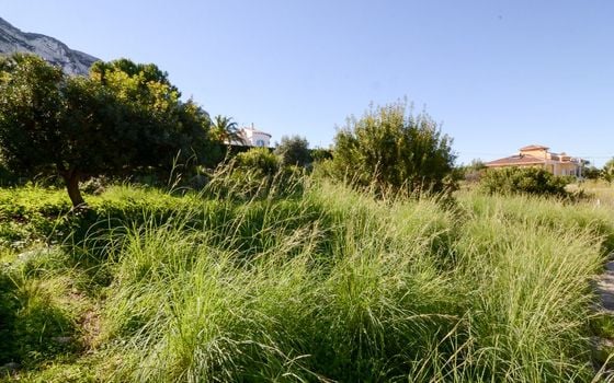 Pozemek   v Denia, - EGH109939 - Foto - Small - 8