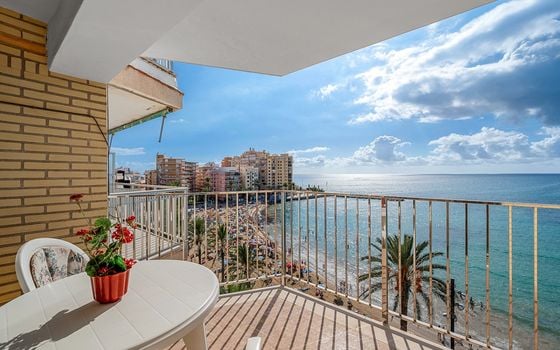 Appartement de 3 chambres à Torrevieja - CBB110454 - Photo - Small - 23