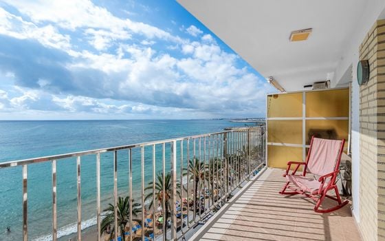 Appartement de 3 chambres à Torrevieja - CBB110454 - Photo - Small - 21