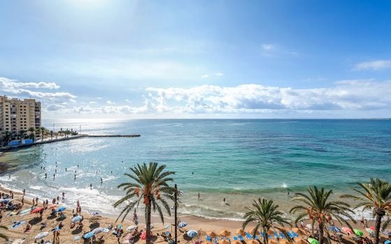 Appartement de 3 chambres à Torrevieja - CBB110454 - Photo - Small - 26