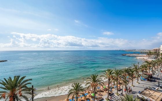 Appartement de 3 chambres à Torrevieja - CBB110454 - Photo - Small - 27
