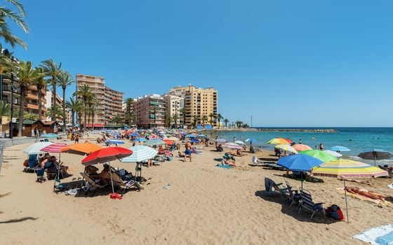 Appartement de 3 chambres à Torrevieja - CBB110454 - Photo - Small - 24