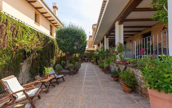 Villa de 7 chambres à Torrevieja - PSA110732 - Photo - Small - 4