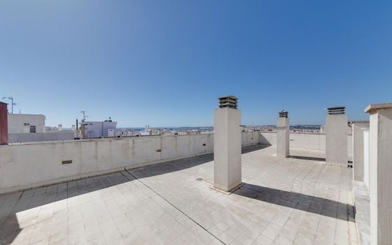 Appartement de 3 chambres à Torrevieja - MRS111082 - Photo - Small - 27