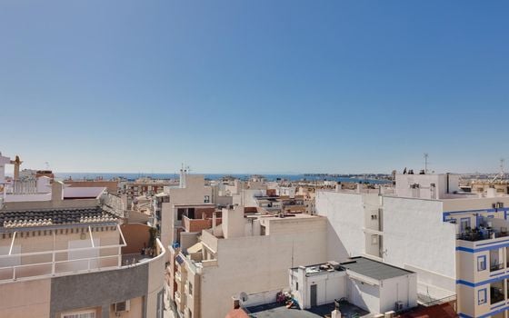 Appartement de 3 chambres à Torrevieja - MRS111082 - Photo - Small - 28