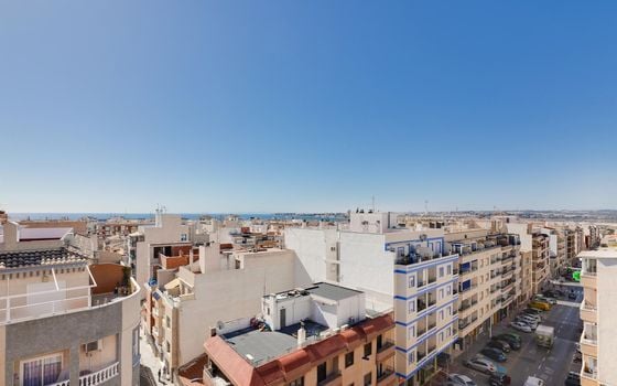 Appartement de 3 chambres à Torrevieja - MRS111082 - Photo - Small - 39