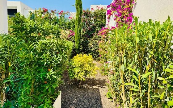 2 bedroom Villa in Algorfa - CBW111122 - Photo - Small - 19