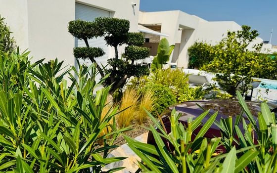 2 bedroom Villa in Algorfa - CBW111122 - Photo - Small - 18