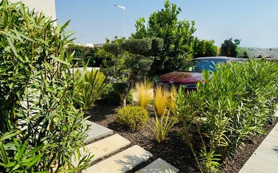 2 bedroom Villa in Algorfa - CBW111122 - Photo - Small - 17