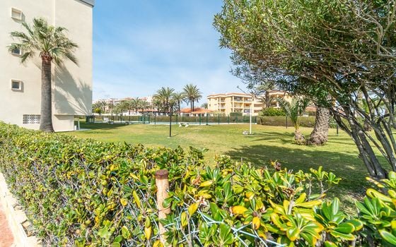 Apartamento de 2 habitaciones en Punta Prima - RPF153714 - Foto - Small - 36