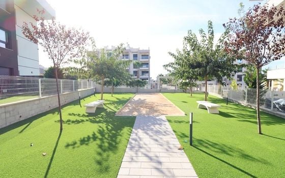 2 bedroom Apartment in Orihuela Costa - CRR112343 - Photo - Small - 22