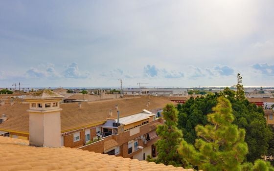 3 bedroom Penthouse in Pilar de la Horadada - MRS112598 - Photo - Small - 19