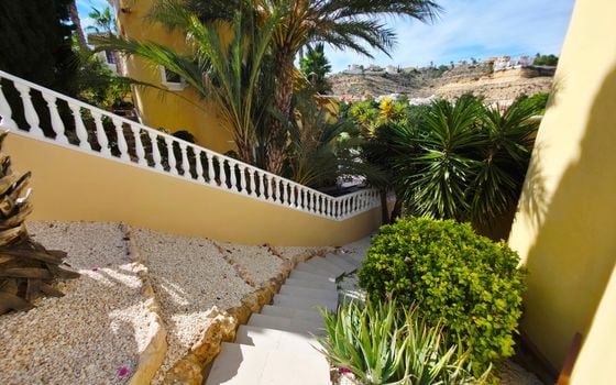 3 bedroom Villa in Ciudad Quesada - NSP113173 - Photo - Small - 24