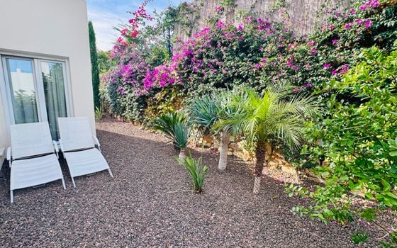 2 bedroom Villa in Algorfa - PR145940 - Photo - Small - 29
