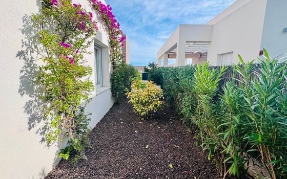 2 bedroom Villa in Algorfa - PR145940 - Photo - Small - 28