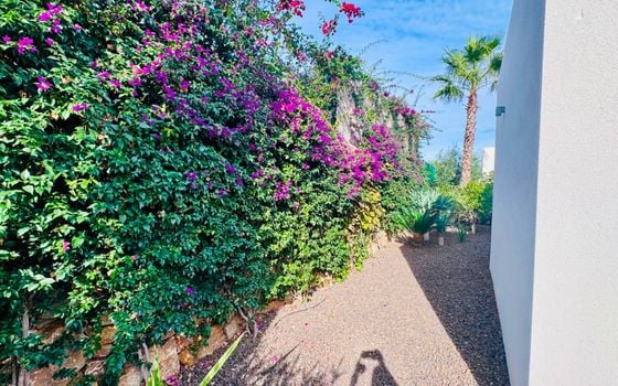 2 bedroom Villa in Algorfa - PR145940 - Photo - Small - 30