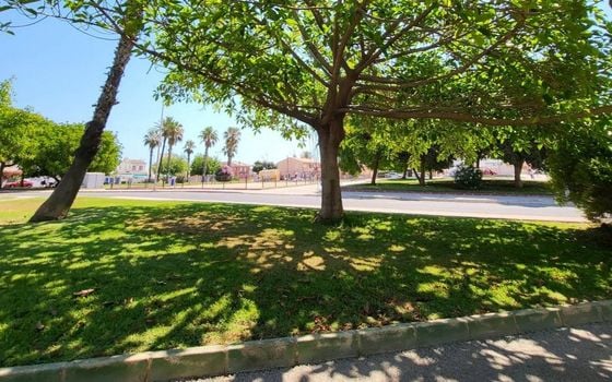 2 bedroom Apartment in Torrevieja - SV126688 - Photo - Small - 22