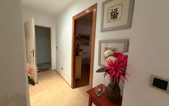 Appartement de 2 chambres à Pilar de la Horadada - SPH155703 - Photo - Small - 31