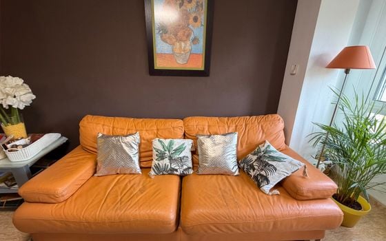Appartement de 2 chambres à Pilar de la Horadada - SPH155703 - Photo - Small - 7
