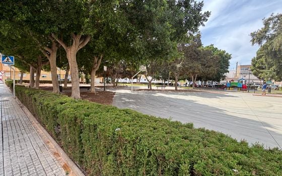 Appartement de 2 chambres à Pilar de la Horadada - SPH155703 - Photo - Small - 39