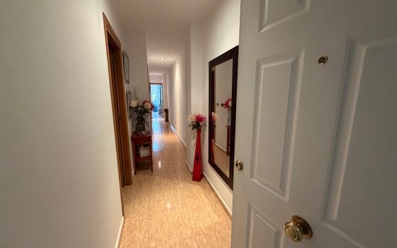 Appartement de 2 chambres à Pilar de la Horadada - SPH155703 - Photo - Small - 32