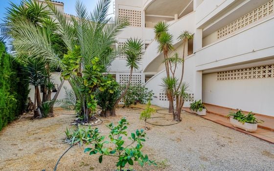 1 bedroom Apartment in Altea - CBB113574 - Photo - 2