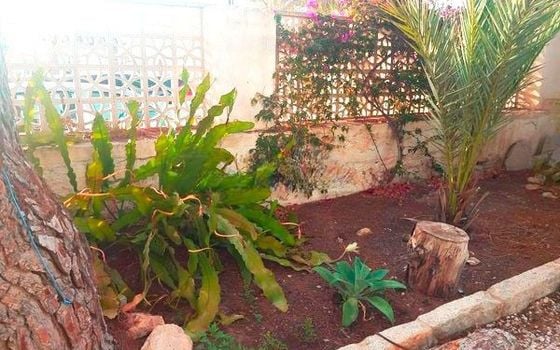 4 bedroom Villa in Torrevieja - DPR113609 - Photo - Small - 14